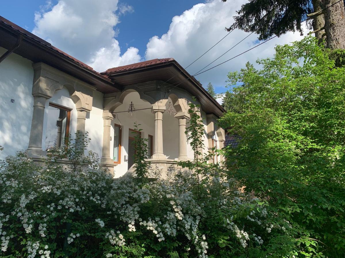 Vila Scriitorilor Sinaia Villa Exterior foto